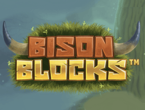 Bison Blocks