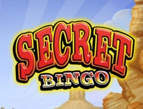 Secret Bingo